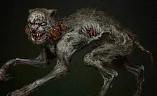 Podívejte se na kočičí monstrum ze hry S.T.A.L.K.E.R. 2: Heart of Chornobyl