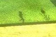 Lost in Shadow – vývojářův deníček 1.