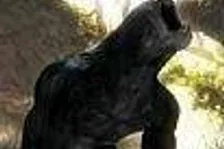 Risen vyjde i na Xboxu 360