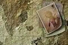 Rapture je Atlantida?