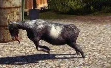 Goat Simulator vyjde příští měsíc pro PS4 a PS3