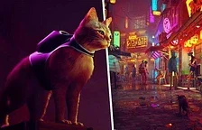 Hra Stray je pořád plánována na léto, pravděpodobně uniklo datum