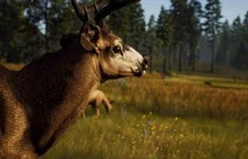 Lovecká hra Way of the Hunter vyjde v polovině srpna, nový trailer