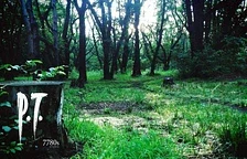 Je tomu už osm let od vydání legendárního dema P.T.