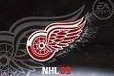 NHL 09 Theme pack