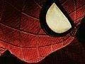 Na VGA bude trailer na The Amazing Spider-Man