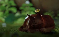 Kočičí dobrodružná hra Stray vyjde v srpnu pro konzole Xbox 