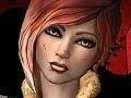 Borderlands 2 bude brzy oznámen