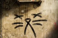 Studio Neon Giant představí na The Game Awards svoji novou hru