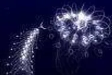 Playstation Network UMD Bundle