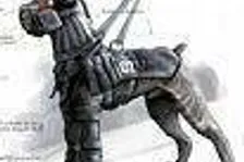 Váleční psi možná v Killzone 2