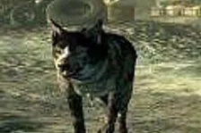 Fallout bez Dogmeata není Fallout