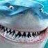 flipper