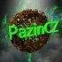 PazinCZ