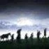 busines
