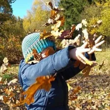 dyplodok