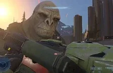 Svalnatec