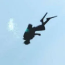 zdexid