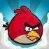 birdikluky