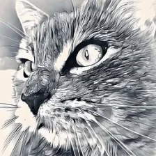 Jiřík