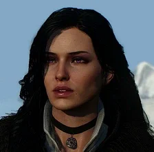 The Witcher