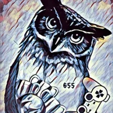 sova655