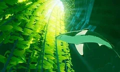 9 minut dlouhé gameplay video na hru ABZÛ