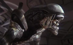 Cold Iron Studios pracuje na multiplayerové hře Alien