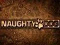 Naughty Dog připravuje hru ve stylu ICO