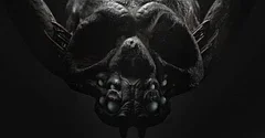 Na konec letošního roku je v plánu nová akční adventura Kong: Survivor Instinc