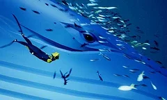 Abzu vyjde v lednu diskově pro PS4 a dokonce i Xbox One