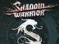 Shadow Warrior se dostane i do obchodů v krabicové verzi