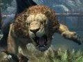 Dragon’s Dogma Online v novém trailru srovnávající PS4 a PS3 verzi