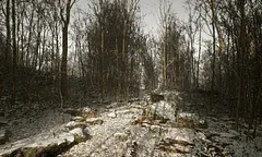 Hra Abandoned pravděpodobně nikdy nevznikne, Hasan Kahraman měl všechny oklamat