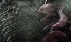 Scorn
