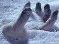 Lost Planet 3 - Frozen to Death trailer
