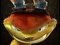 Naughty Dog o sérii Jak and Daxter