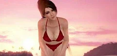 Hodina z hraní anglické verze Dead or Alive Xtreme 3