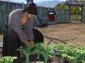 Yakuza: Ishin představuje režim Another Life