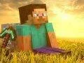 Minecraft by se mohl podívat na Playstation konzole, Wii U verze nepravděpodobná