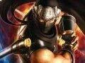 Atelier Ayesha, Ninja Gaiden Sigma 2 Plus a Ken’s Rage 2 v prvním čtvrtletí 2013