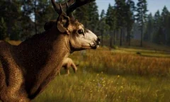 Lovecká hra Way of the Hunter vyjde v polovině srpna, nový trailer