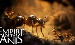 Nové gameplay video ze hry Empire of the Ants