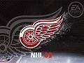 NHL 09 Theme pack