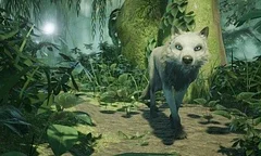Pěkný trailer na indie hru Lost Ember