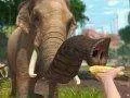 Vychází u nás Zoo Tycoon pro Xbox 360