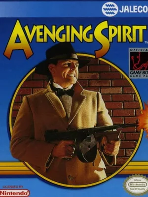 Avenging Spirit