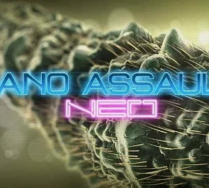 Nano Assault Neo