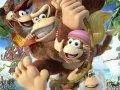 Čtyři hratelní opičáci v Donkey Kong Country: Tropical Freeze