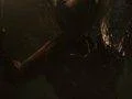 Sony dnes ukáže první gameplay záběry z Bloodborne